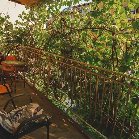 Casa de Férias House Tsimerman 4 Bedroom Private House Free Parking Private Garden Varna