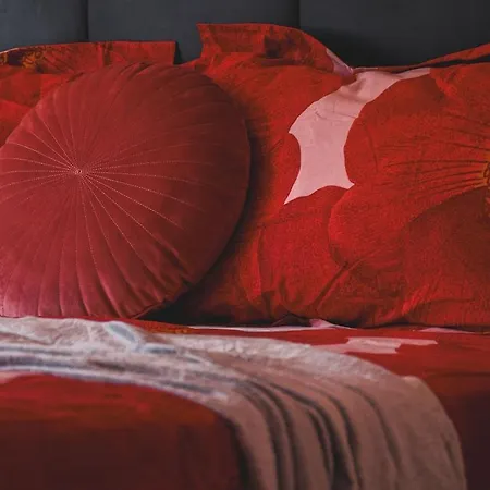 House Tsimerman 4 Bedroom Private House Free Parking Private Garden *