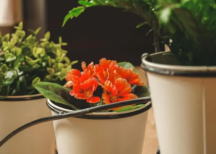 House Tsimerman 4 Bedroom Private House Free Parking Private Garden